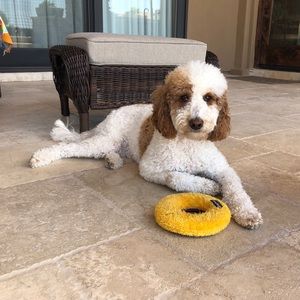 Meet your Posher, Theresa